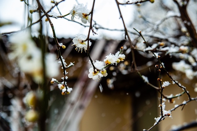 朱芳雨